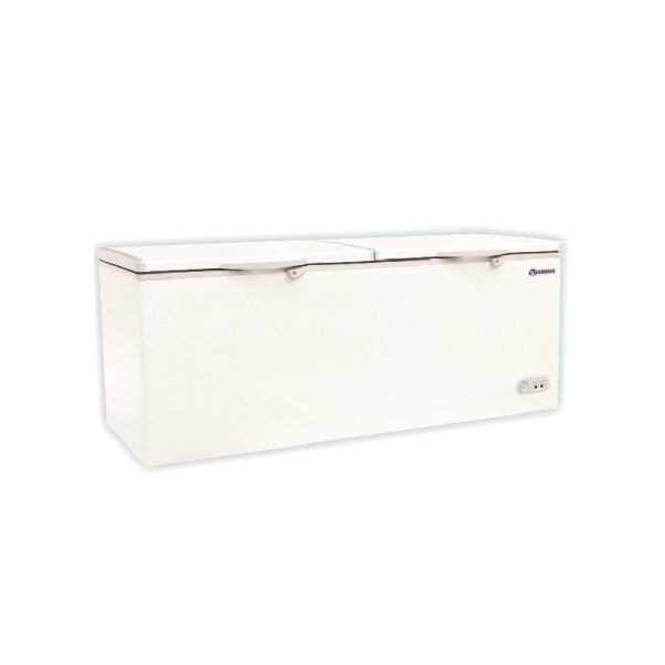 Un espacioso Congelador horizontal blanco de 200 litros con doble tapa y panel de control en la parte frontal, colocado sobre un fondo liso. Un espacioso Congelador horizontal blanco de 200 litros con doble tapa y panel de control en la parte frontal, colocado sobre un fondo liso.