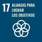Icono blanco de cinco círculos entrelazados bajo el texto "17 Alianzas para lograr los objetivos" sobre fondo azul, que simboliza el Objetivo de Desarrollo Sostenible 17 de las Naciones Unidas y la colaboración en sectores como Equipos Industriales.